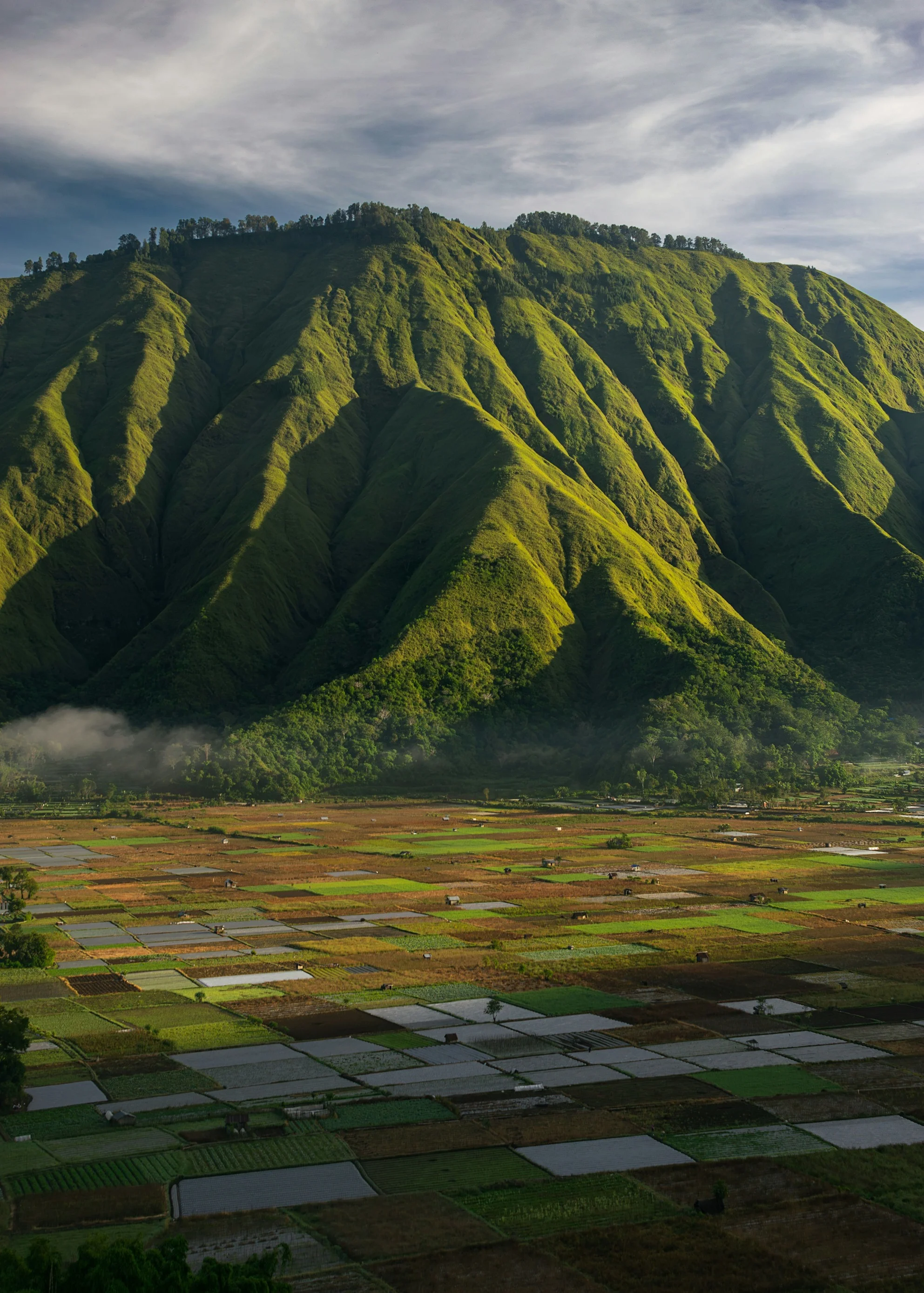 Sembalun Highland Tour & Kaki Rinjani
