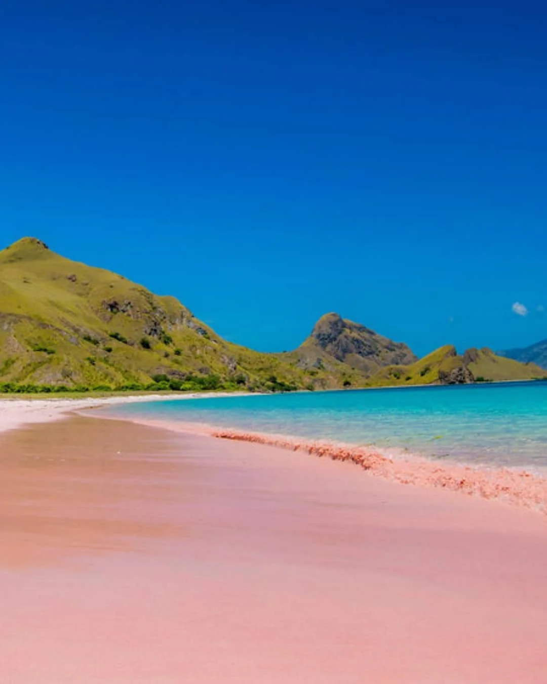 Pink Beach & Snorkeling Gili Petelu